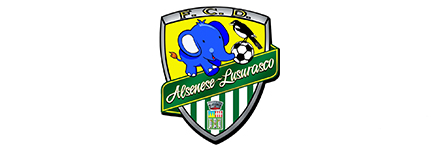 ALSENESE CALCIO